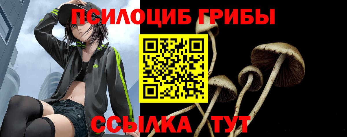 Галлюциногенные грибы Cubensis Елабуга