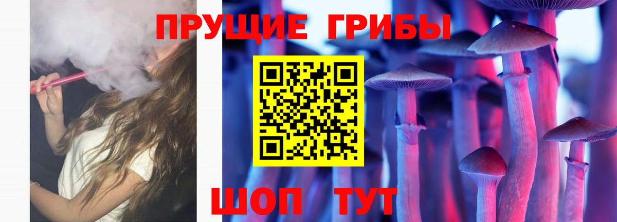 Елабуга  Псилоцибиновые грибы прущие грибы  Вход с VPN 